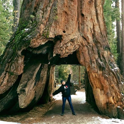 Democrat, lover of nature supports  National Parks Services, Humanitarian! A good friend. #BlueCrew