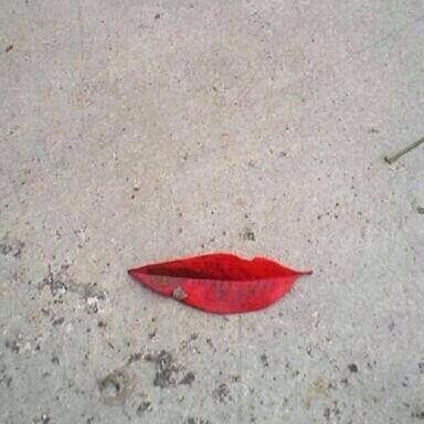 Dipity09D's profile picture. 