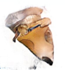 Trying out this living thing, I'll let you know how it goes.
https://t.co/O5CWCJqAje