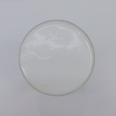 kimsackat's profile picture. 食 과 性