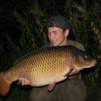 Harry Pratt (@harrypratt_carp) 's Twitter Profile