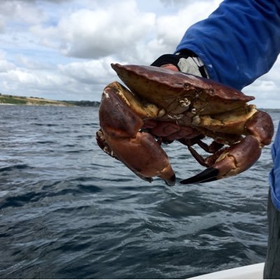 beazer13's profile picture. 