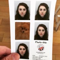 Isobel Williams (@isobelwilliams) 's Twitter Profile