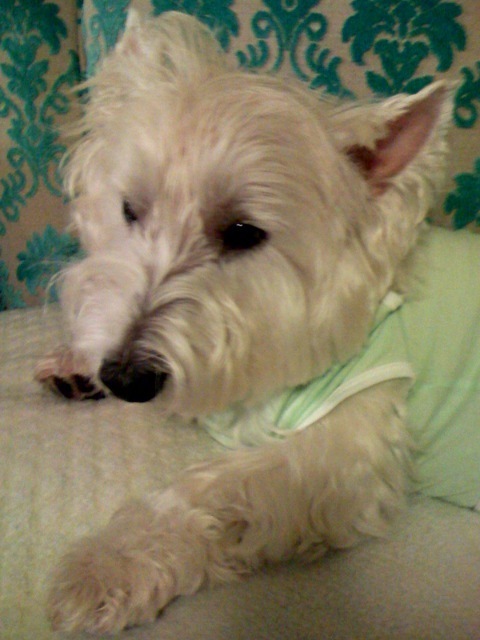 MaryWFLi's profile picture. 