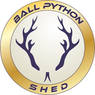 Family oriented business raising high quality ball pythons. We look forward to hearing from you! #ballpython #reptile