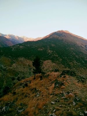 amtqPa7QIQ2cTYQ's profile picture. xain