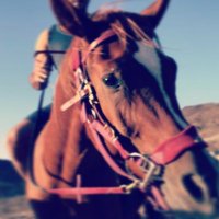 ali (@ali_ad1982) Twitter profile photo