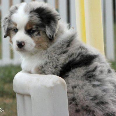 MJBKNY's profile picture. 