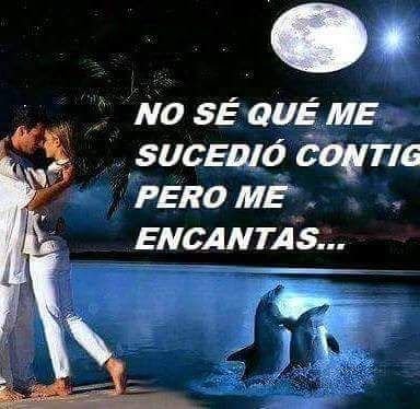 maria313317's profile picture. Noticias