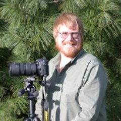 Bald eagle, wildlife and landscape photography in the Pacific Northwest by Bob Harbison. Photos are my own work (except retweets).