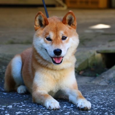 kizuna126's profile picture. #高知家 写真 服 armin tiesto