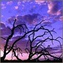 Sybil Fuller - @sybilfu24 - Twitter