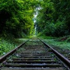 binal_iCoderz's profile picture. 