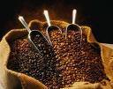 CoffeeFact's profile picture. Fact and information behind a cup of coffee that you may not know yet.