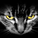 Iris Medeiros - @wriris_medeiros - Twitter