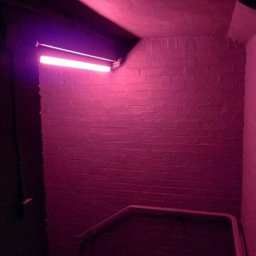 THEWRLD_SHOW's profile picture. 