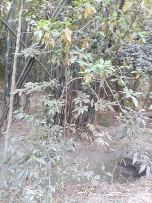 ce0a0a8d6fdd49a's profile picture. 