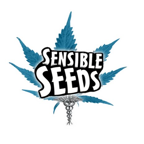 The World's Largest Cannabis Seed Mega Store!       Like us on Facebook: https://t.co/qTAEVdQdWV