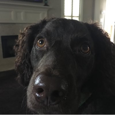 John R Holliman, Esq - Twitter Profile Picture of John R Holliman, Esq (@holliman_JR) on Twitter