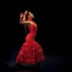 Tienda de flamenco online que ofrece productos, comparte noticias y más/ Online flamenco store that sells products, shares the latest news and more.