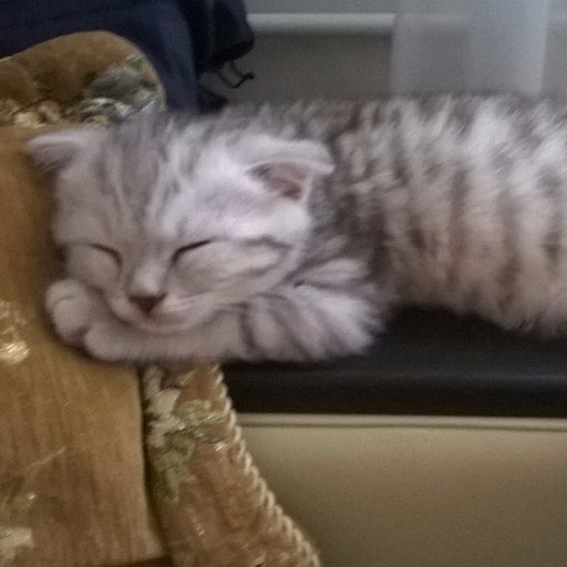 alekc1880's profile picture. бизнес