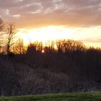 ColdSpringHomeDepot (@homedepot2323) 's Twitter Profile