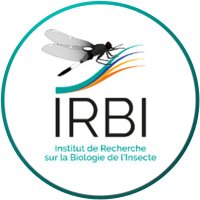 IRBI(@IRBI_Tours) 's Twitter Profileg