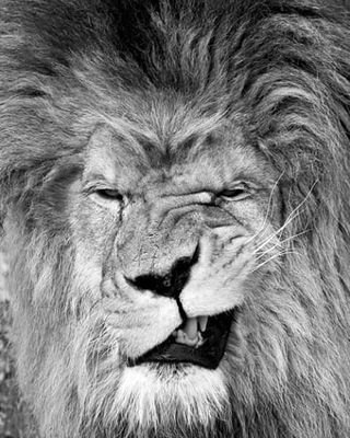 MarioGo50254579's profile picture. 