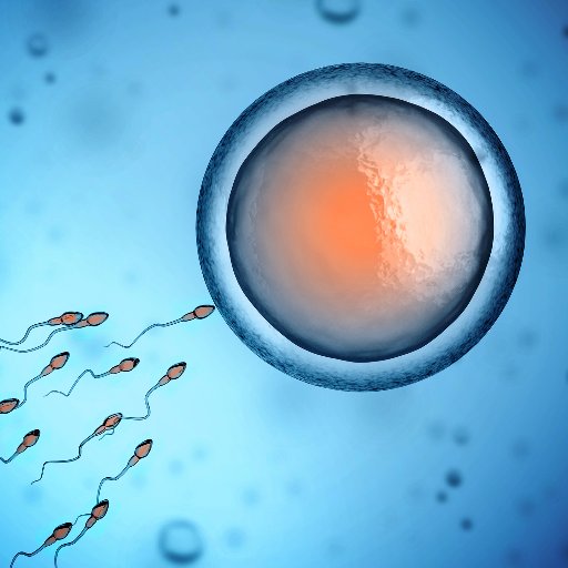 IVF_Island's profile picture. Við skrifum áhugaverðar greinar um IVF hér: https://t.co/6IaDIfDuV5