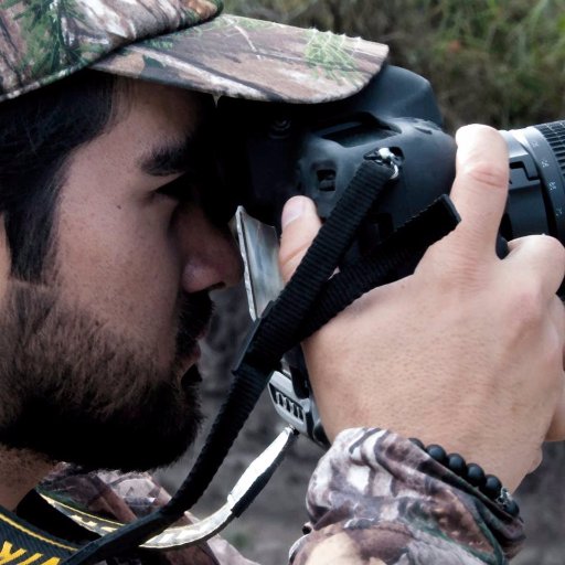 I am a professional birdwatching, bird photo, and, naturalist guide in the world's most bio-diverse country per square-mile, Ecuador.