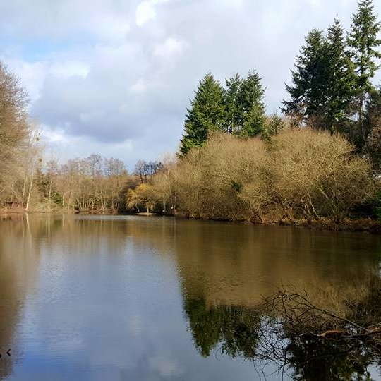 welcome to Hideway Lake our 2.5 acre Carp Fishing venue in Normandy France