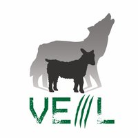 Veil-Framework(@veilframework) 's Twitter Profile Photo