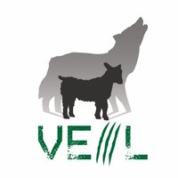 Veil-Framework (@veilframework) 's Twitter Profile