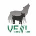 Veil-Framework (@veilframework) Twitter profile photo Veil-Framework (@veilframework) Twitter profile photo