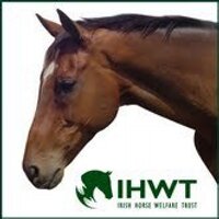 Irish Horse Welfare(@IHWTMoscowFlyer) 's Twitter Profile Photo