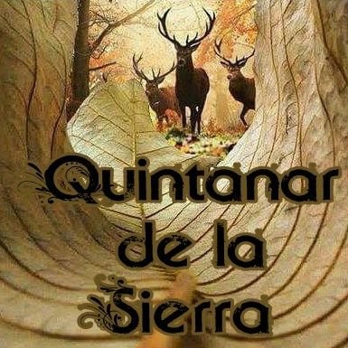 Cuenta OFICIAL del pueblo de Quintanar de la Sierra en la provincia de Burgos LA COSTA DEL OXIGENO. Información, fotos y noticias