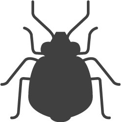 Info_Punaises's profile picture. Info-Punaises - aux premières lignes du combat contre les punaises de lit. Des questions? Contactez-nous!