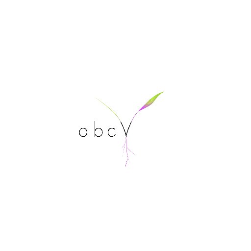 ABC V