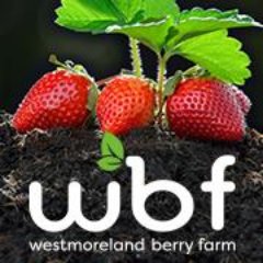 A Riverside Pick-your-Own Berry Farm, Country Store, Cafe and Recreation Area in Virginia's Historic Northern Neck