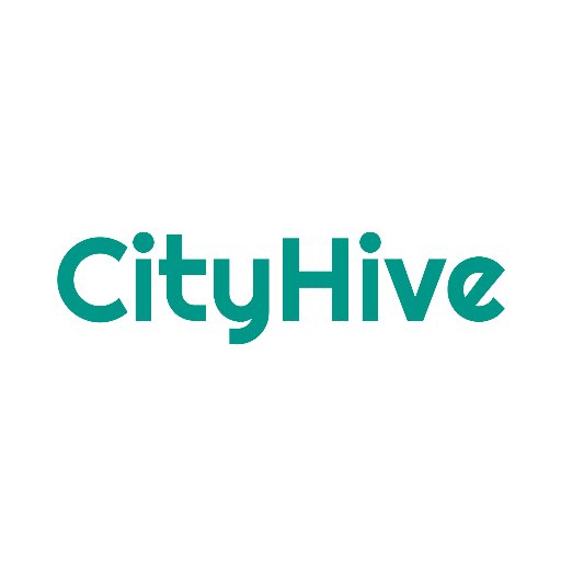 cityhivevan Profile Picture