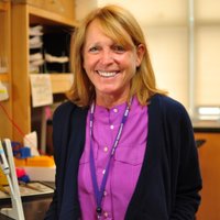 Jane Skok (@jane_skok) 's Twitter Profile Photo Jane Skok (@jane_skok) 's Twitter Profile Photo