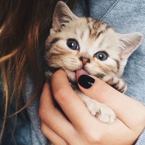 NrXdlMLdmODVOnF's profile picture. 