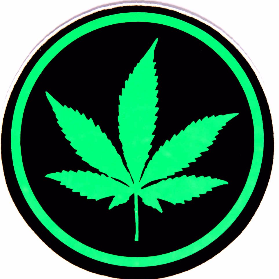 Blog with cannabis news, reviews, and  other original content.