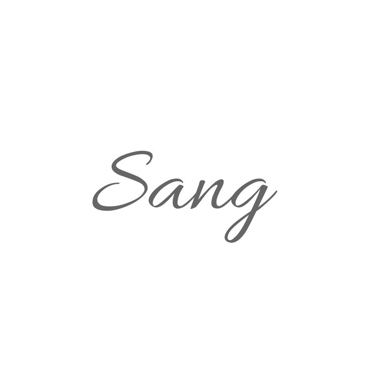 thesangteam's profile picture. 