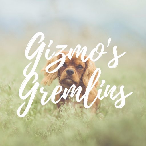 A pro pet care service. We aim to help your little gremlins feel as good as gold. We'll be the first doggy daycare to offer Vegan/Vegetarian options in the UK.