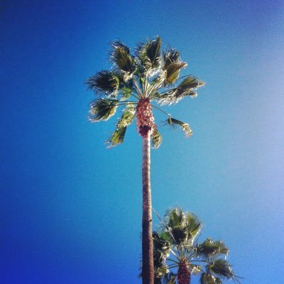 AHeffner87's profile picture. Knowledge emerges through the restless, impatient, continuing, hopeful inquiry humans pursue in the world, with the world, and with each other. - Paulo Friere