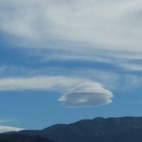 Wayne (@wcm012) 's Twitter Profile