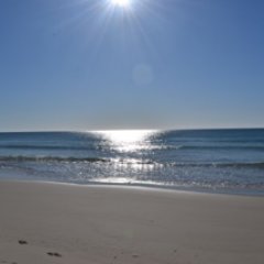 Sharon Saunders Profile