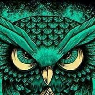 camilocb4's profile picture. 