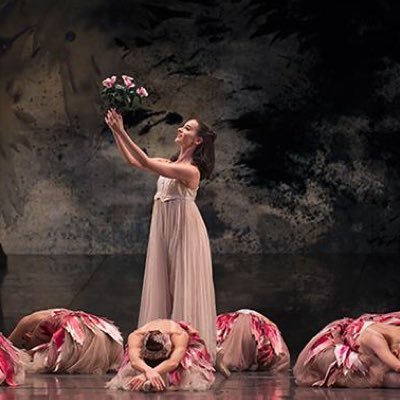 Last Year Medical student @ Universidad de Zaragoza @MedUnizar and Former First Soloist @ Birmingham Royal Ballet @BRB Supported by @DCD_dancers